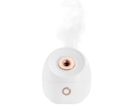 Urządzenie do pielęgnacji twarzy Beautifly Sauna do twarzy SkinMist Pro, Nano-jonowa